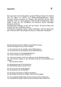 Vorschau sprache/lesen/Lesetraining 05 Iguanodon.pdf